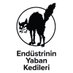 Endüstrinin Yaban Kedileri / Wildcats of Industry (@yabankedileri) Twitter profile photo Endüstrinin Yaban Kedileri / Wildcats of Industry (@yabankedileri) Twitter profile photo