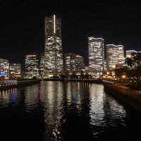りりー (@yyrrdec) 's Twitter Profile