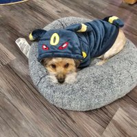 Maga mama (@gieblerp) 's Twitter Profile Photo