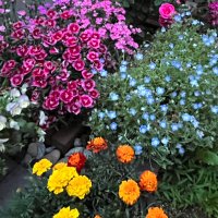 ひらさき (@hi_saki2813) 's Twitter Profile Photo