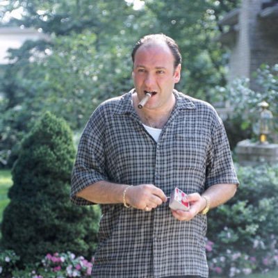 starryhopewins's profile picture. 