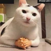 HoleWheet (@hole_wheet) 's Twitter Profile