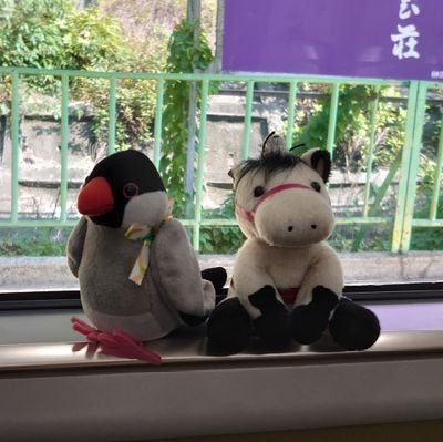 ksXbGXMA72F4BTb's profile picture. 彼らのなかに、もろもろの問いへの究極的な解答の提出に成功した者はいまのところひとりもいない。
彼らはただ当座の説明を思いついただけであり、やがて彼らは新しい問いを投げかけることとなった。
おそらく我々は、これ以外のやり方で答えを見つけることを望むべきではないのだろう。
そうして、会話は続いてゆく。