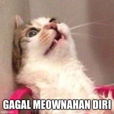 meleehunter76's profile picture. 