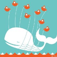 Scott Fybush (@fybush.bsky.social) (@scottfybush) 's Twitter Profile