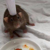 Southway (@southway_1) 's Twitter Profile Photo Southway (@southway_1) 's Twitter Profile Photo