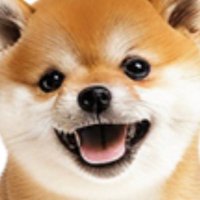 資産1億円を目指す犬🐕 (@takeey1103) 's Twitter Profile
