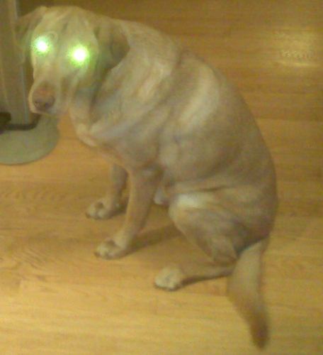 NealNmack12's profile picture. 