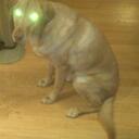 Neal Mack - @NealNmack12 - Twitter