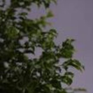 adahysi's profile picture. 