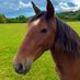 Roly (@peaksandhill) Twitter profile photo Roly (@peaksandhill) Twitter profile photo