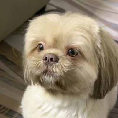 mmllnrnth's profile picture. 22