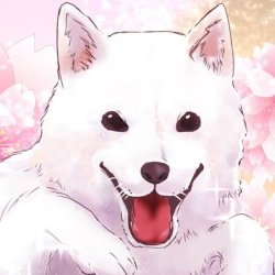こりすキョーコ 🐿️さんのプロフィール画像