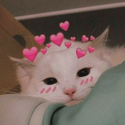 _jenny_n_'s profile picture. ᥫ᭡