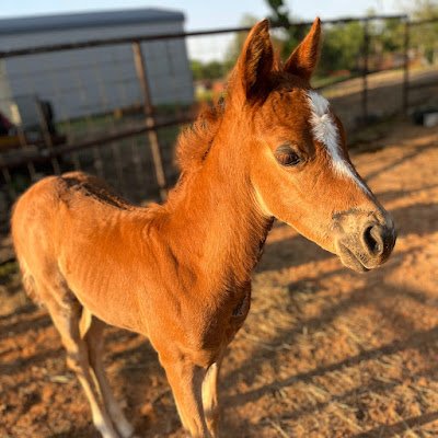 JoannaO53354's profile picture. 