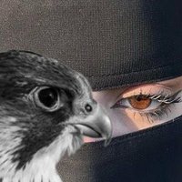 نصراويه للابد💛🇸🇦 (@rhf734) 's Twitter Profile Photo نصراويه للابد💛🇸🇦 (@rhf734) 's Twitter Profile Photo
