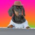 SYNDOG (@synthesizerdog) Twitter profile photo SYNDOG (@synthesizerdog) Twitter profile photo