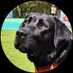 Sylvia🐟 (@sylviacrar) Twitter profile photo Sylvia🐟 (@sylviacrar) Twitter profile photo