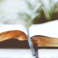 Lisa Cordaro | Non-fiction editor (@lisa_cordaro) 's Twitter Profile