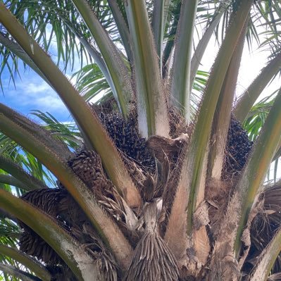 MuhammedB65837's profile picture. peace ✌🏾, love ❤️ & unity 🌟✌🏾