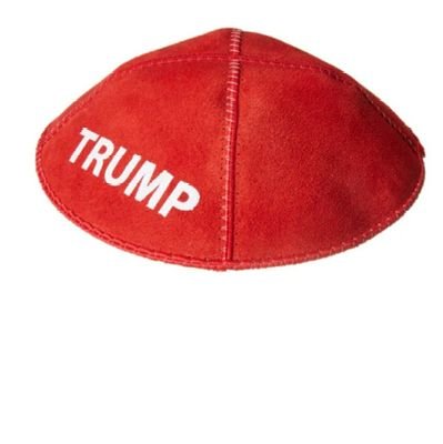 fr0gaccount's profile picture. Stephen miller/Usha Vance 2028