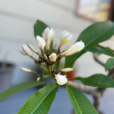 Counsellor20663's profile picture. 