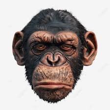 HotmailSay's profile picture. 