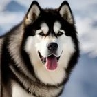 Big Moot🌻 BLM ACAB🔜TFF (@shiromoot) 's Twitter Profile