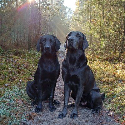 Charlie Munger 🇦🇷🇺🇲