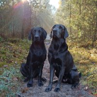 Waidmann (@ebbchr) 's Twitter Profile Photo