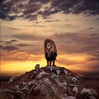 الكيت كات (@alkytkat0) 's Twitter Profile