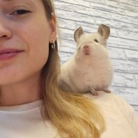 ilona (@ilonkin95) 's Twitter Profile