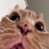 The Bored Smokers Club (@theboredsmoker) 's Twitter Profile