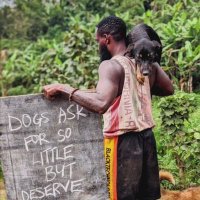 AJ DOG SHELTER (@ajdogshelter2) 's Twitter Profile Photo