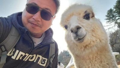 tonup80's profile picture. 