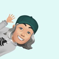 🌊🌊Lisa R Foote🌊🌊 🥅🏒🏈🏀🥎⚾️ (@wildgrrl14) 's Twitter Profile