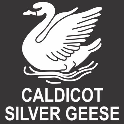 New Established Over 35’s Touch Team based at @CaldicotRFC