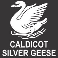 Caldicot Silver Geese (@cotsilvergeese) 's Twitter Profile