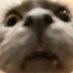 yfks (@yfks_wasabi) Twitter profile photo yfks (@yfks_wasabi) Twitter profile photo