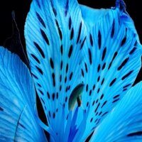 Jolie (@duceyjo) 's Twitter Profile Photo