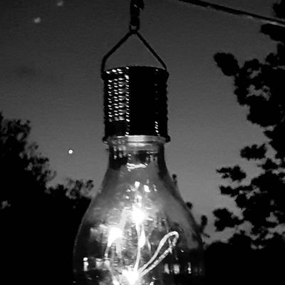 rbrtsilvester's profile picture. Chester born, big Liverpool & Chester fan.