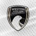 Weston-super-Mare AFC (@wsm_afcofficial) Twitter profile photo Weston-super-Mare AFC (@wsm_afcofficial) Twitter profile photo