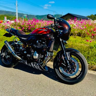 🇯🇵𝐊𝐀𝐆𝐀𝐖𝐀🇯🇵𝐚𝐠𝐞𝟑𝟕 𝐤𝐚𝐰𝐚𝐬𝐚𝐤𝐢 𝐙𝟗𝟎𝟎𝐑𝐒 𝐑𝐞𝐬𝐞𝐫𝐯𝐨𝐢𝐫 𝐃𝐨𝐠𝐬 𝐊𝐀𝐆𝐀𝐖𝐀