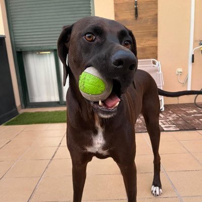 DonVGambino's profile picture. 