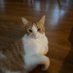 Katelyn 453♦️🗡️⚡️🎇🦋 🎸🌿💄🎼🪳☠️💿 (@katelynkohls) Twitter profile photo Katelyn 453♦️🗡️⚡️🎇🦋 🎸🌿💄🎼🪳☠️💿 (@katelynkohls) Twitter profile photo
