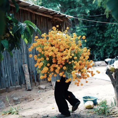bokboera's profile picture. 관념적 00년생 왈록이라 들어봤슨?