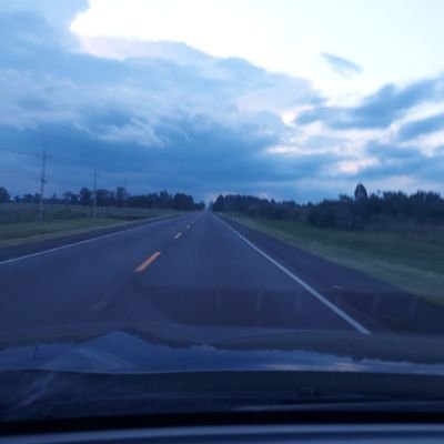 LeonardiGu29862's profile picture. 