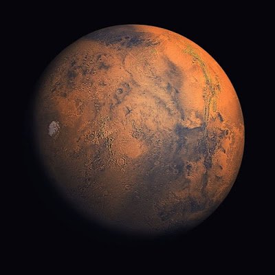 Judy_jujupps's profile picture. 