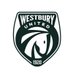 Westbury United (@westburyutd) Twitter profile photo Westbury United (@westburyutd) Twitter profile photo