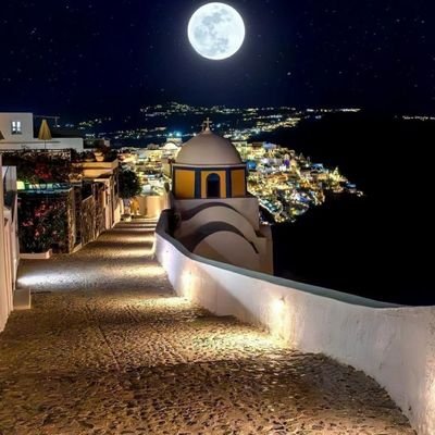 fryd1146787's profile picture. 